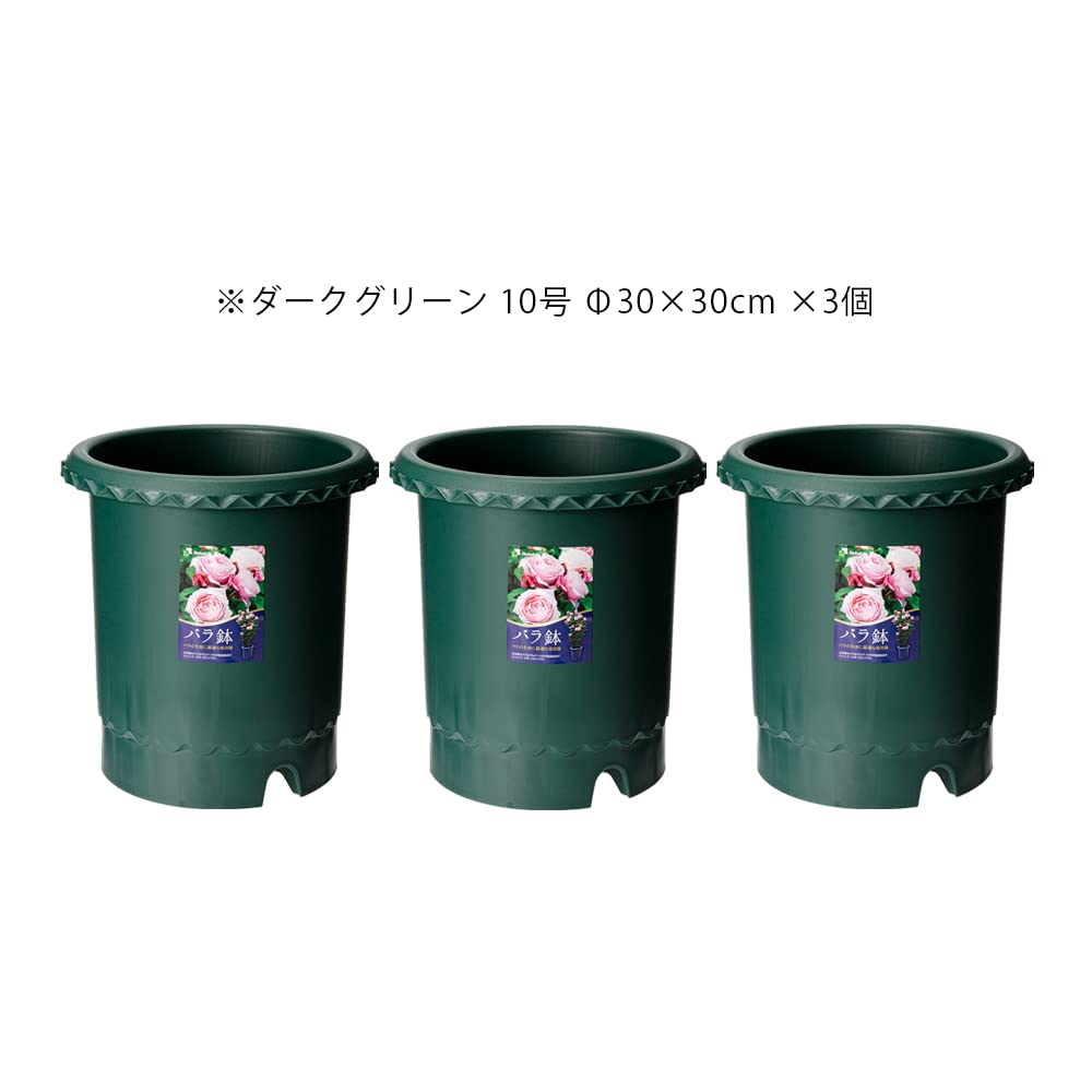 Amazon.co.jp: リッチェル バラ鉢 ダークグリーン 10号 φ30